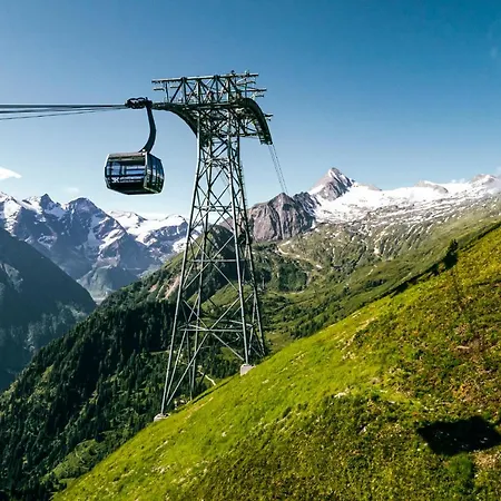 Hohe Tauern - Steinbock
