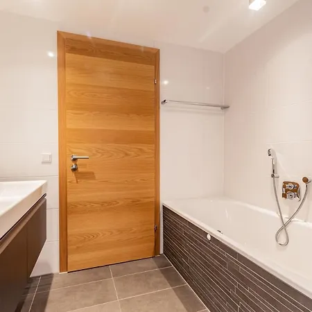 Hohe Tauern - Steinbock 滨湖采尔