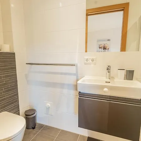 Hohe Tauern - Steinbock 别墅