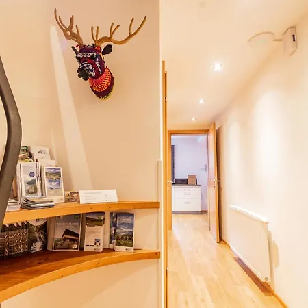 Hohe Tauern - Steinbock * Zell am See