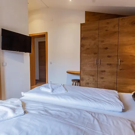 Hohe Tauern - Steinbock *