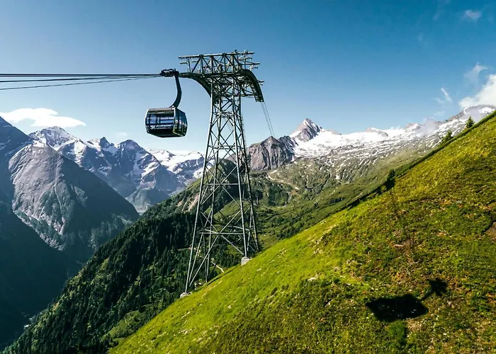 Hohe Tauern - Steinbock