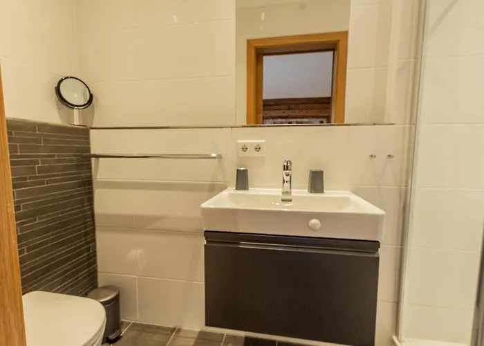 Hohe Tauern - Steinbock