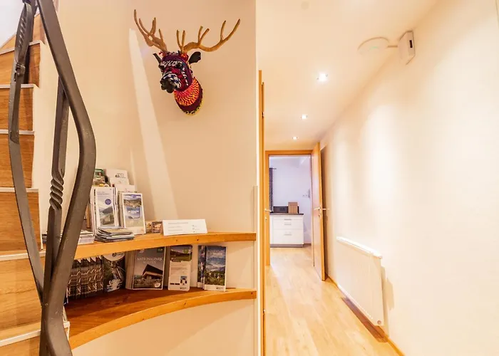 Hohe Tauern - Steinbock * Zell am See