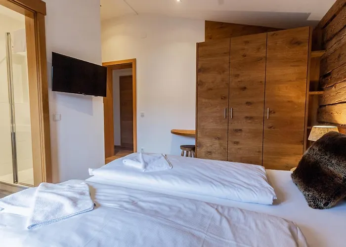 Hohe Tauern - Steinbock *