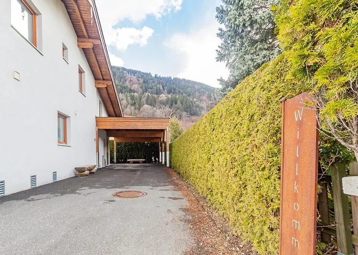 Hohe Tauern - Steinbock * Zell am See