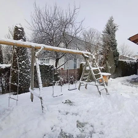 Hohe Tauern - Steinbock * Zell am See